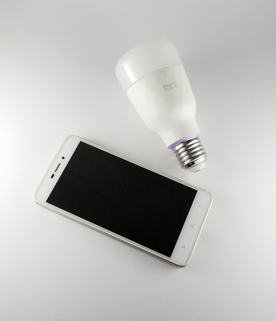 the-light-bulb-4498792_640